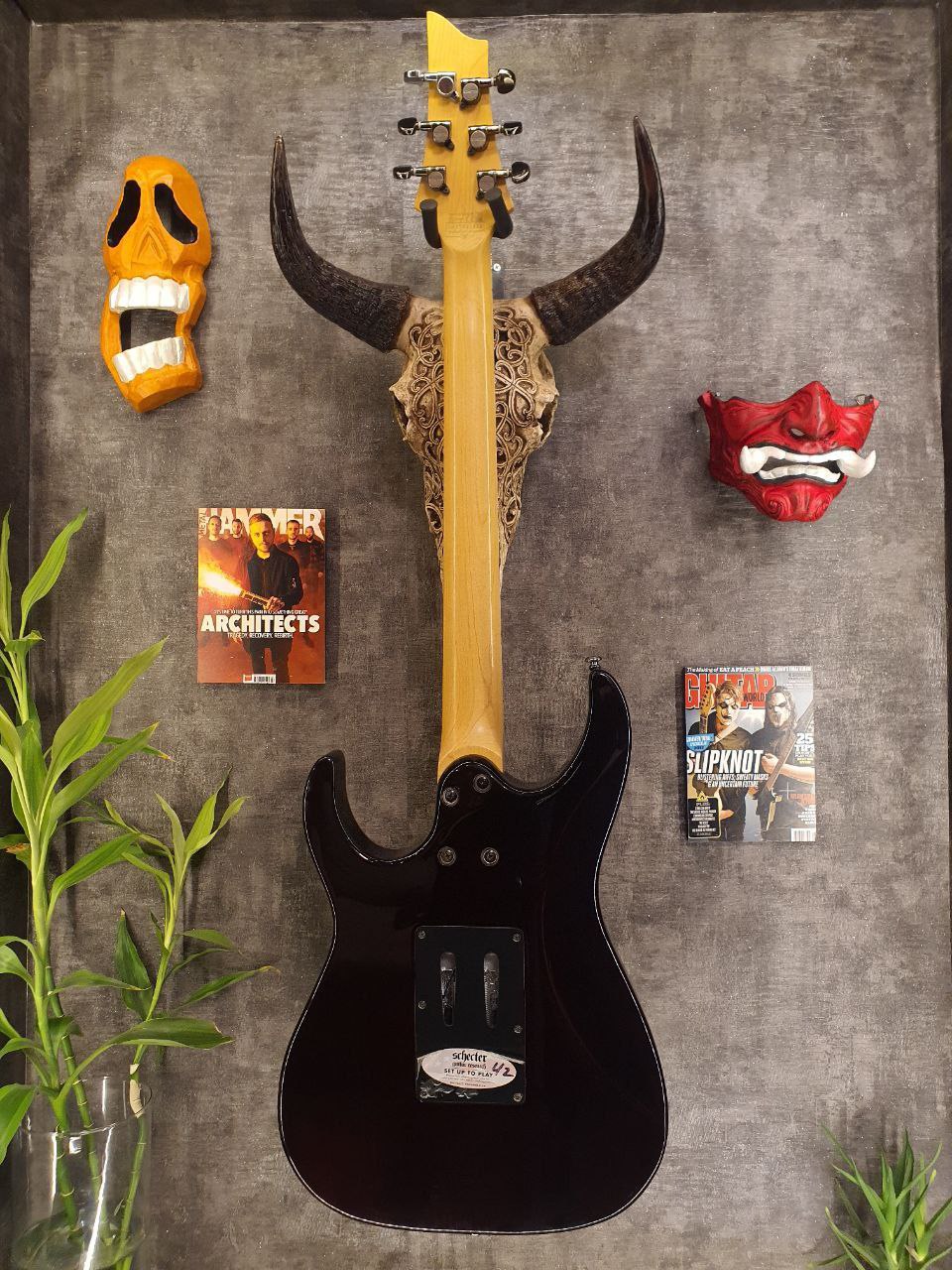 Schecter _ Banshee Extreme fr6