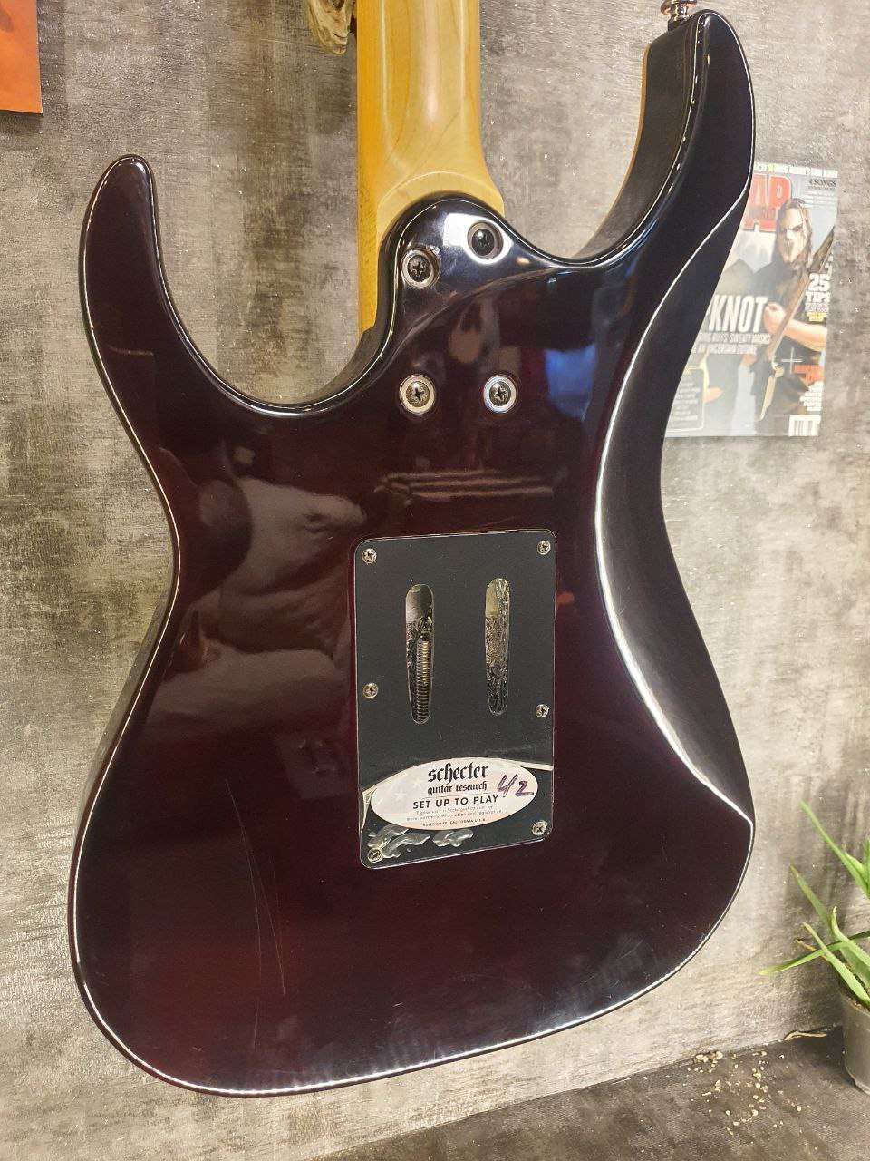 Schecter _ Banshee Extreme fr6